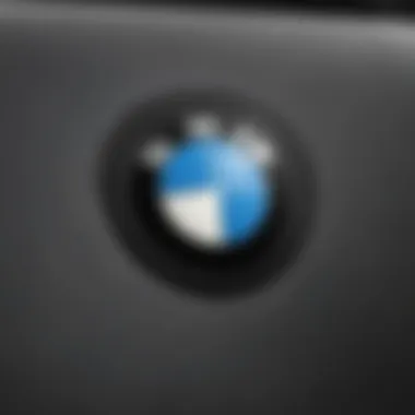 A close-up of the BMW logo on a premium seat cover showcasing craftsmanship