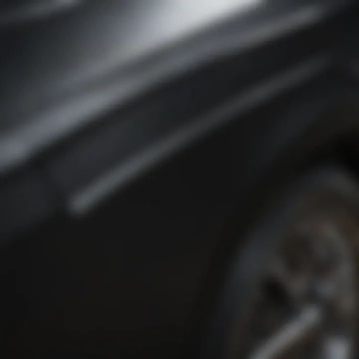 Detail shot of the texture and finish of Ford Ebony Black paint