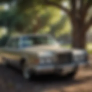 Vintage Lincoln Town Car parked under a tree