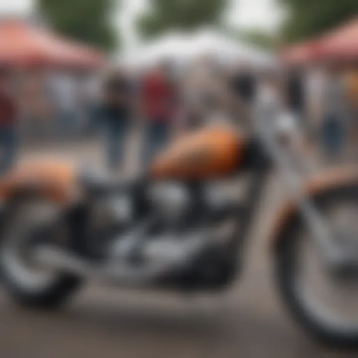 A lowrider bike enthusiast showcasing their customized bike in a community event.