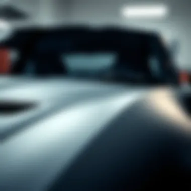 Maintenance tools for matte car paint care