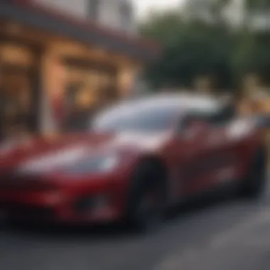 Payment Options in Tesla Mobile App Tesla mobile app displaying payment options