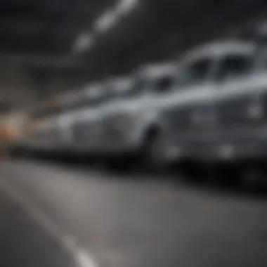 A selection of affordable trucks lined up at a dealership